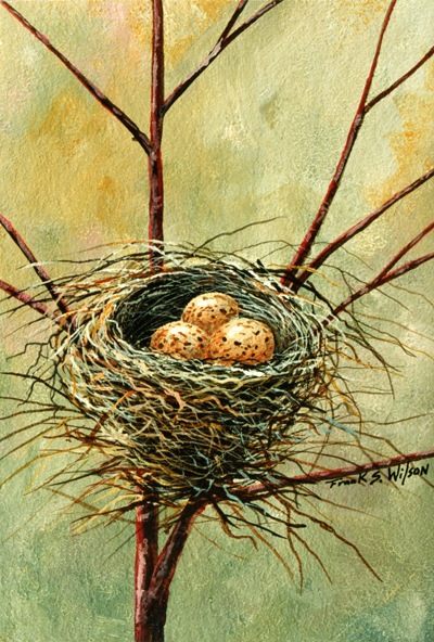 Bird Nest, bird nest painting by Frank Wilson