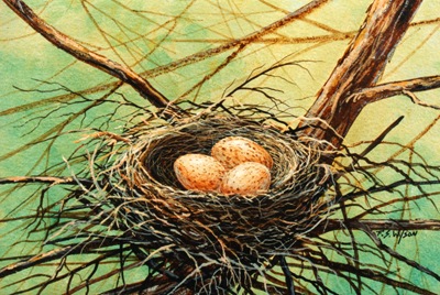 Brown Speckled Eggs, birds nest oil painting by frank Wilson