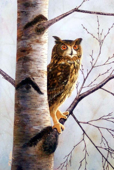 Owl in Birch, owl painting by Frank Wilson, gouache painting