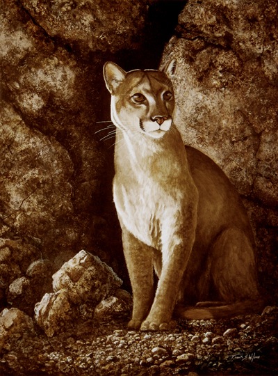 Cougar, Mountain lion, Wait Until Dark, oil painting byFrank Wilson