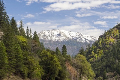 "Spring In The Plumas National Forest" photograph by Frank Wilson